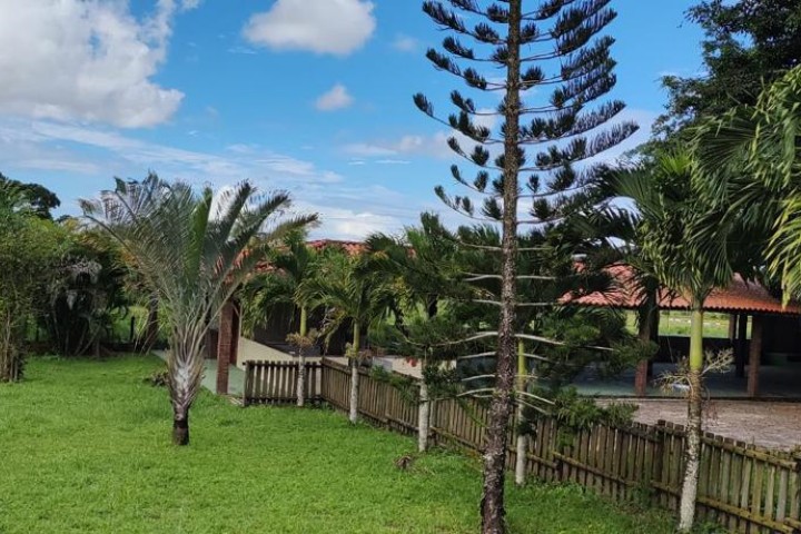 Centro de Reabilitação contra as drogas em Madre de Deus - BA